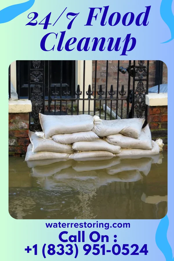 24/7 Flood Cleanup in Lake Ann, MI