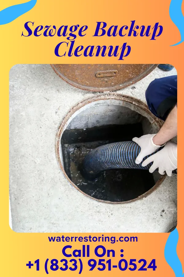 Sewage Backup Cleanup in Lake Ann, MI