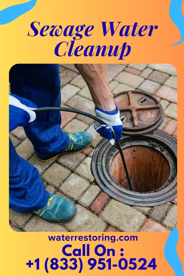 Sewage Water Cleanup in Lake Ann, MI